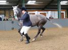 Image 287 in EAST ANGLIAN IBERIAN BREED SHOW 2016  