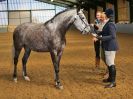 Image 288 in EAST ANGLIAN IBERIAN BREED SHOW 2016