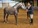 Image 288 in EAST ANGLIAN IBERIAN BREED SHOW 2016  