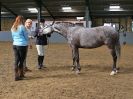 Image 290 in EAST ANGLIAN IBERIAN BREED SHOW 2016