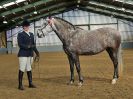 Image 292 in EAST ANGLIAN IBERIAN BREED SHOW 2016