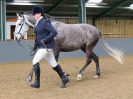 Image 294 in EAST ANGLIAN IBERIAN BREED SHOW 2016