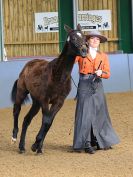 Image 32 in EAST ANGLIAN IBERIAN BREED SHOW 2016