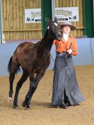 Image 32 in EAST ANGLIAN IBERIAN BREED SHOW 2016  