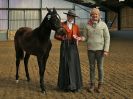 Image 36 in EAST ANGLIAN IBERIAN BREED SHOW 2016