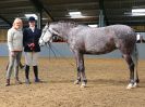 Image 42 in EAST ANGLIAN IBERIAN BREED SHOW 2016
