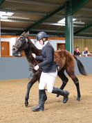 Image 46 in EAST ANGLIAN IBERIAN BREED SHOW 2016  