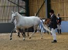 Image 48 in EAST ANGLIAN IBERIAN BREED SHOW 2016