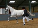 Image 49 in EAST ANGLIAN IBERIAN BREED SHOW 2016