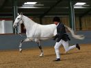 Image 49 in EAST ANGLIAN IBERIAN BREED SHOW 2016  