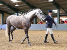 Image 50 in EAST ANGLIAN IBERIAN BREED SHOW 2016