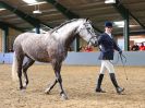 Image 50 in EAST ANGLIAN IBERIAN BREED SHOW 2016  