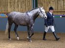 Image 56 in EAST ANGLIAN IBERIAN BREED SHOW 2016