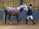 Image 56 in EAST ANGLIAN IBERIAN BREED SHOW 2016  