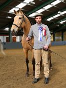Image 57 in EAST ANGLIAN IBERIAN BREED SHOW 2016