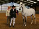 Image 58 in EAST ANGLIAN IBERIAN BREED SHOW 2016  