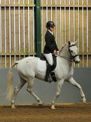 Image 67 in EAST ANGLIAN IBERIAN BREED SHOW 2016  