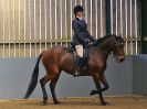 Image 68 in EAST ANGLIAN IBERIAN BREED SHOW 2016