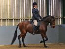 Image 68 in EAST ANGLIAN IBERIAN BREED SHOW 2016  