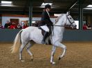 Image 70 in EAST ANGLIAN IBERIAN BREED SHOW 2016