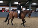 Image 71 in EAST ANGLIAN IBERIAN BREED SHOW 2016