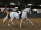 Image 73 in EAST ANGLIAN IBERIAN BREED SHOW 2016