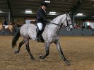 Image 74 in EAST ANGLIAN IBERIAN BREED SHOW 2016