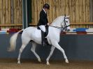 Image 77 in EAST ANGLIAN IBERIAN BREED SHOW 2016