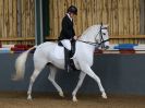 Image 77 in EAST ANGLIAN IBERIAN BREED SHOW 2016  