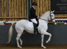 Image 78 in EAST ANGLIAN IBERIAN BREED SHOW 2016