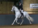 Image 82 in EAST ANGLIAN IBERIAN BREED SHOW 2016  