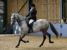 Image 89 in EAST ANGLIAN IBERIAN BREED SHOW 2016