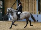 Image 89 in EAST ANGLIAN IBERIAN BREED SHOW 2016  