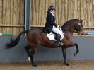 Image 96 in EAST ANGLIAN IBERIAN BREED SHOW 2016