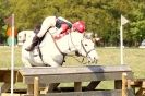 Image 1 in SUFFOLK HUNT BRANCH OF THE PONY CLUB. O.D.E AT ICKWORTH PARK. MAY 2013