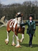 Image 110 in WORLD HORSE WELFARE SHOWING SHOW. 17 APRIL 2016