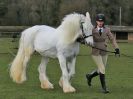Image 111 in WORLD HORSE WELFARE SHOWING SHOW. 17 APRIL 2016