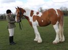 Image 112 in WORLD HORSE WELFARE SHOWING SHOW. 17 APRIL 2016