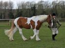 Image 113 in WORLD HORSE WELFARE SHOWING SHOW. 17 APRIL 2016