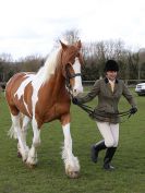Image 114 in WORLD HORSE WELFARE SHOWING SHOW. 17 APRIL 2016