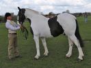 Image 116 in WORLD HORSE WELFARE SHOWING SHOW. 17 APRIL 2016