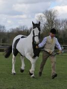 Image 117 in WORLD HORSE WELFARE SHOWING SHOW. 17 APRIL 2016