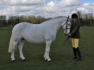 Image 119 in WORLD HORSE WELFARE SHOWING SHOW. 17 APRIL 2016