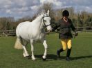 Image 120 in WORLD HORSE WELFARE SHOWING SHOW. 17 APRIL 2016