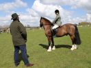 Image 129 in WORLD HORSE WELFARE SHOWING SHOW. 17 APRIL 2016