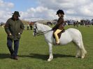 Image 132 in WORLD HORSE WELFARE SHOWING SHOW. 17 APRIL 2016
