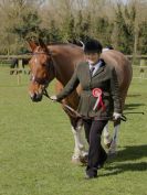 Image 136 in WORLD HORSE WELFARE SHOWING SHOW. 17 APRIL 2016