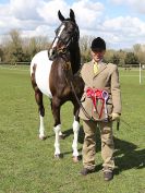 Image 138 in WORLD HORSE WELFARE SHOWING SHOW. 17 APRIL 2016