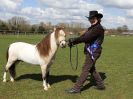 Image 141 in WORLD HORSE WELFARE SHOWING SHOW. 17 APRIL 2016