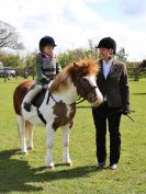 Image 144 in WORLD HORSE WELFARE SHOWING SHOW. 17 APRIL 2016